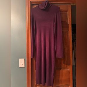 BNWT sweater dress